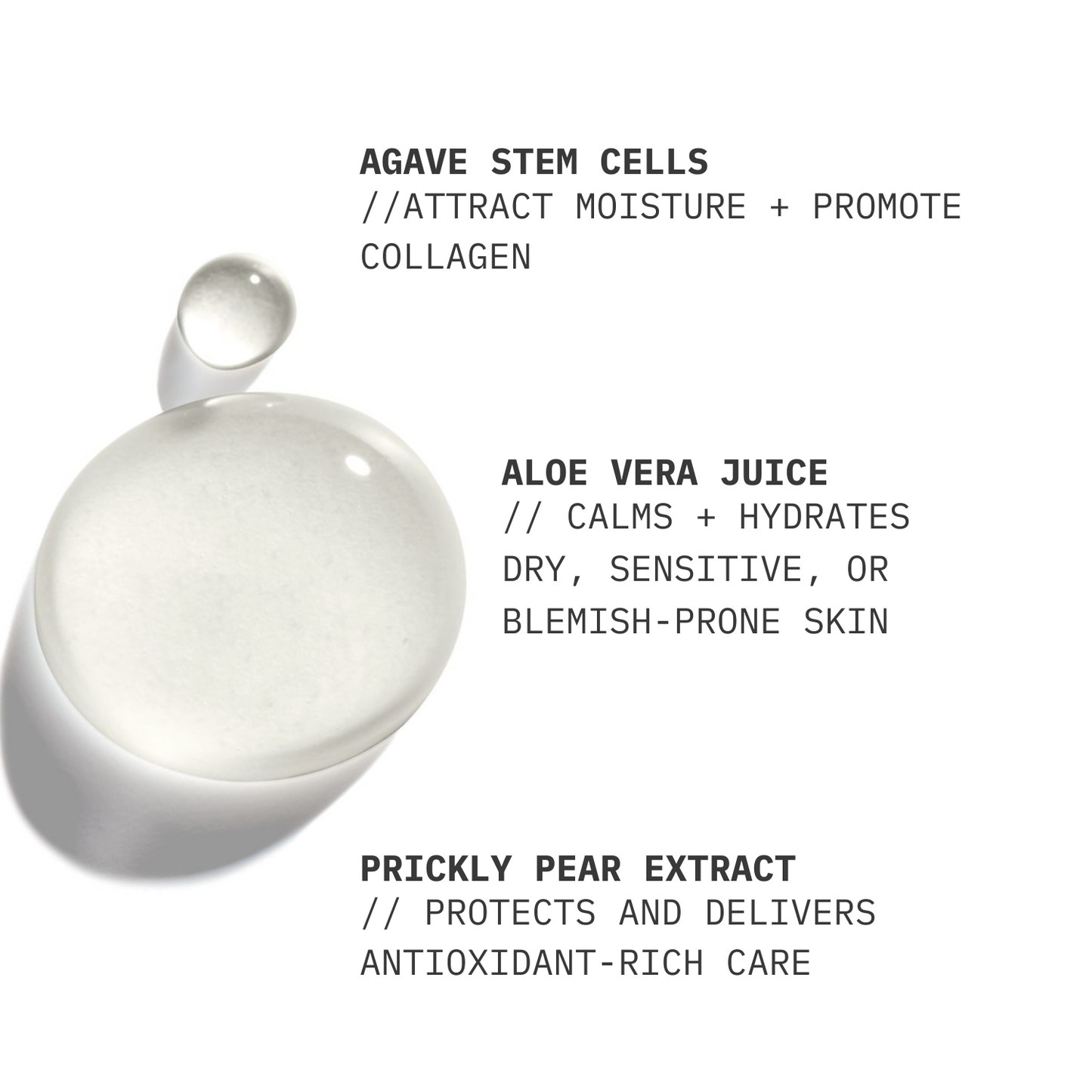 Gel Cleanser // 85 ml