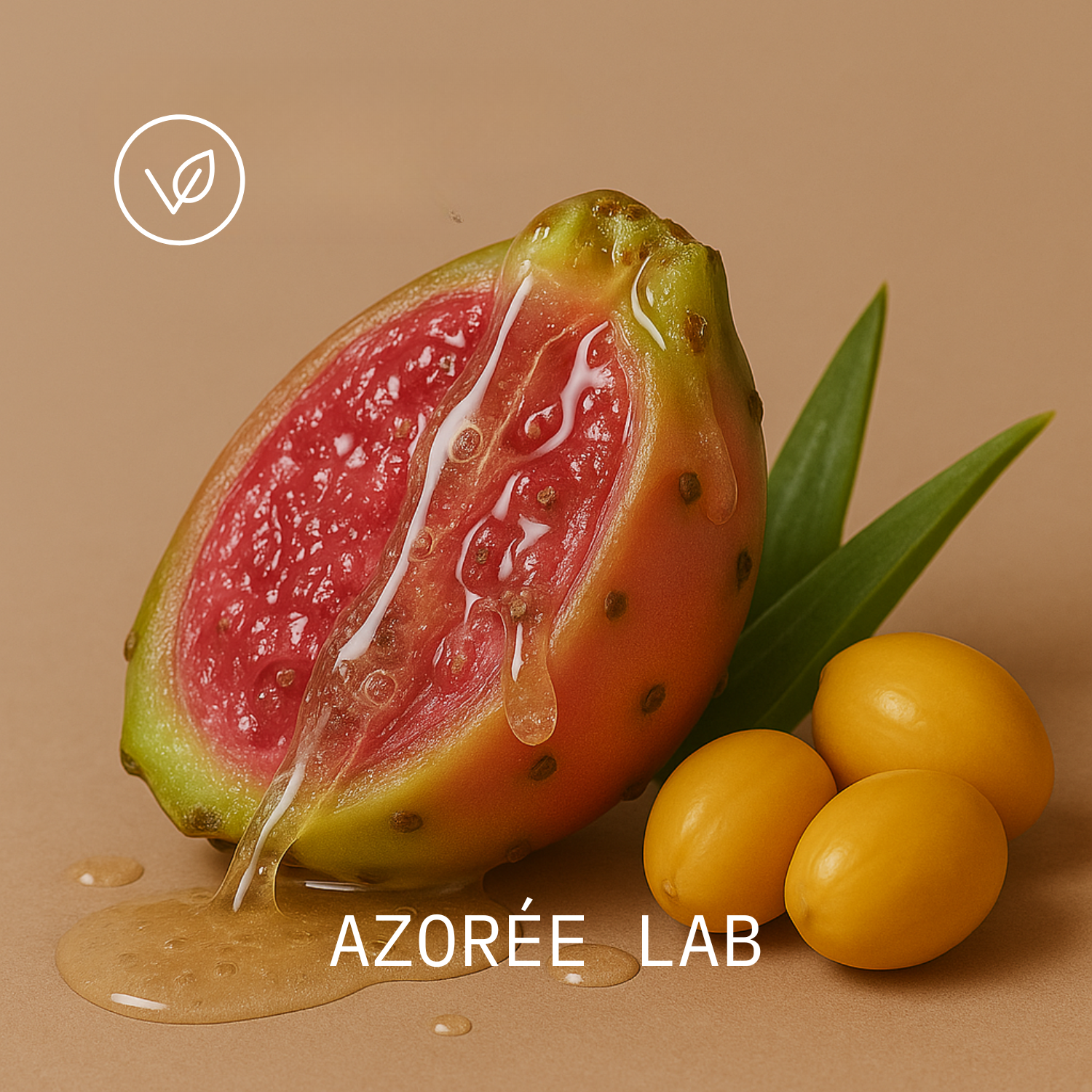 AZORÉE LAB Daytime Moisturizing Cream // Hydrating Jojoba Oil + Prickly Pear Extract