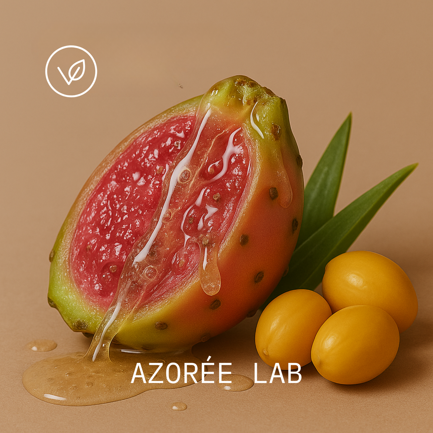 Daytime Moisturizer // 30 ml