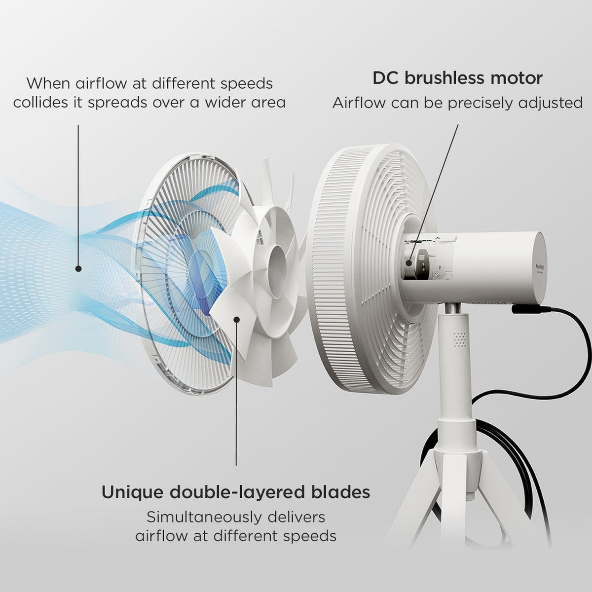 BALMUDA NatureWind Studio 35.5 in Standing Fan