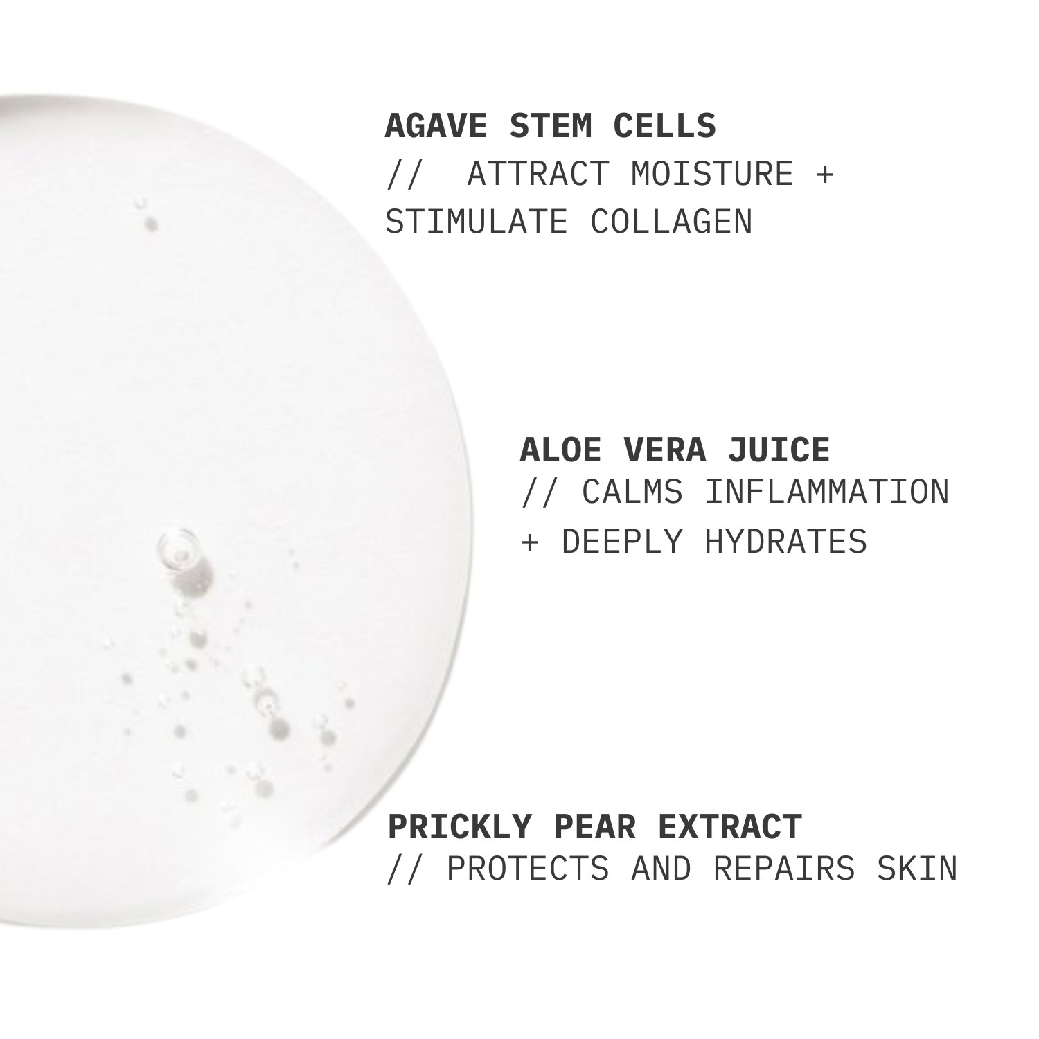 AZORÉE LAB Facial Toner // Balancing Prickly Pear Extract + Aloe