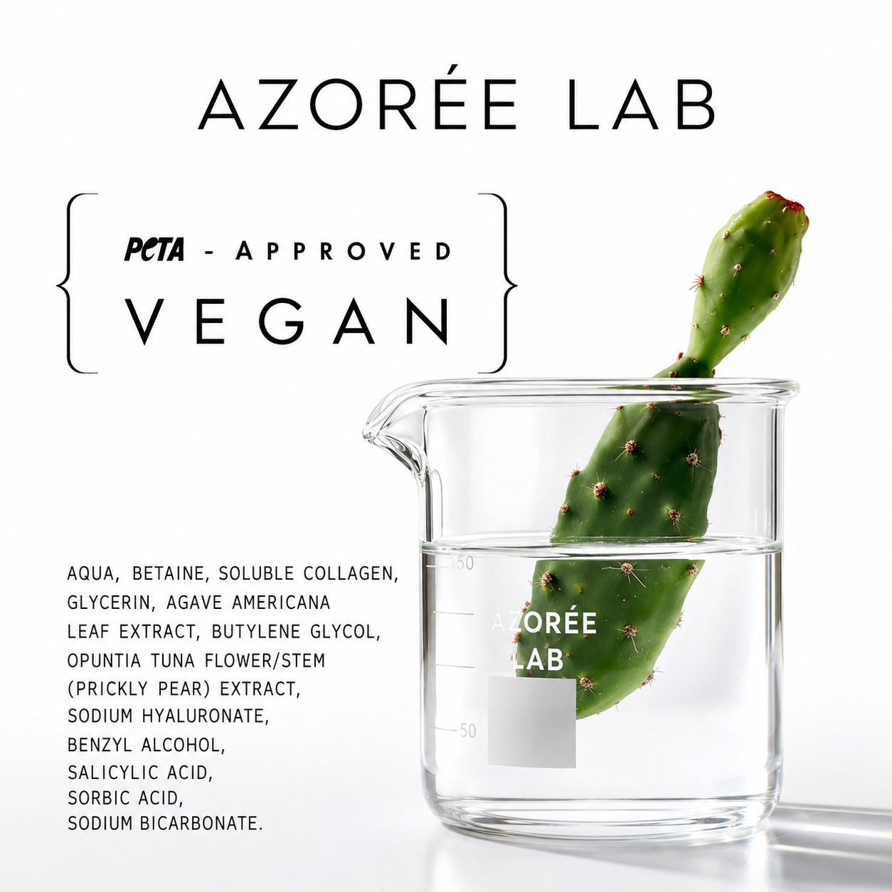 Hyaluronic Acid Serum // Hydrating with Prickly Pear