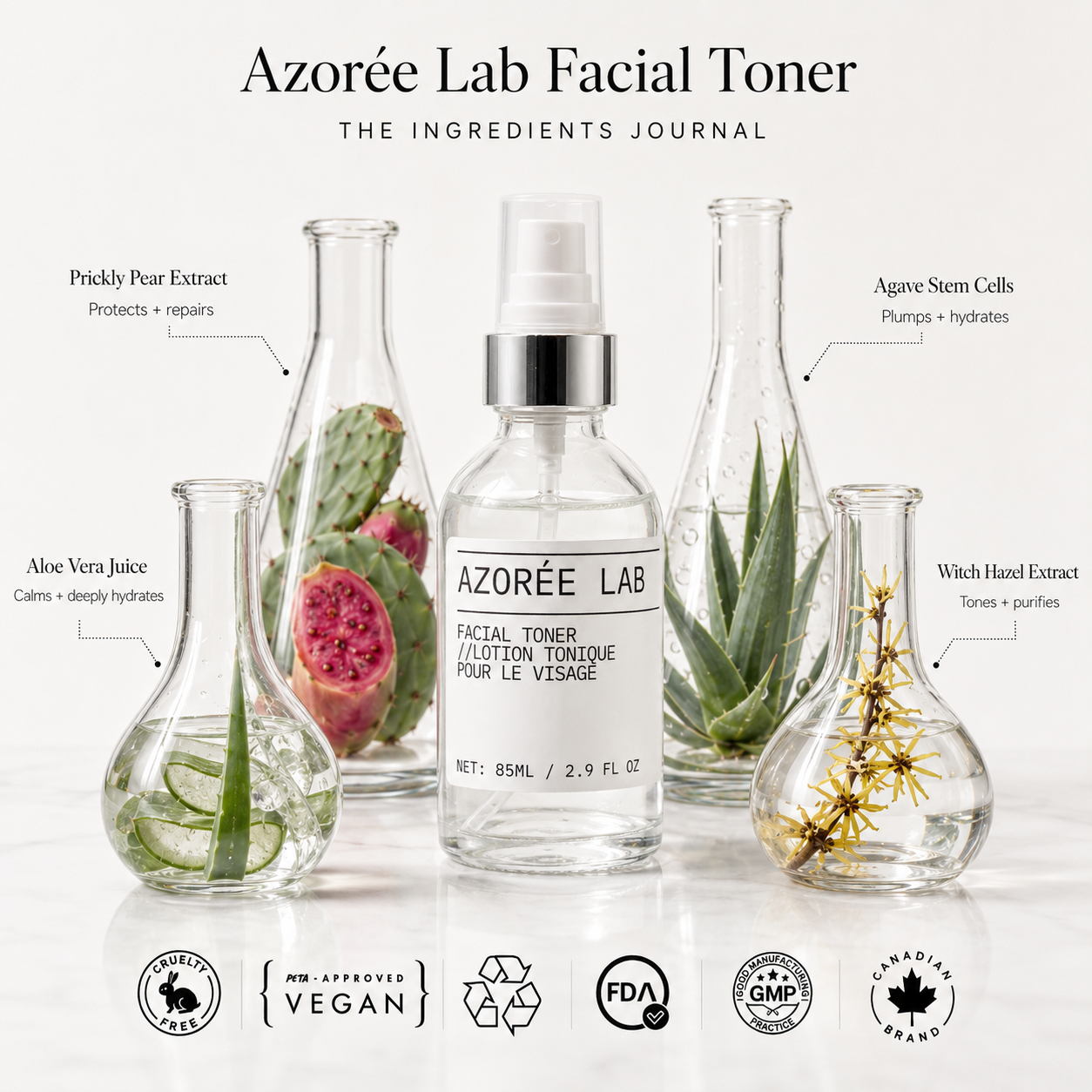AZORÉE LAB Facial Toner // Balancing Prickly Pear Extract + Aloe
