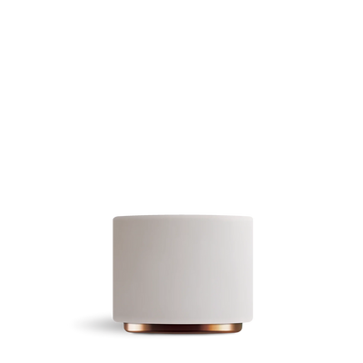 Monty Milk Art Cup - Cappuccino 6.5 oz