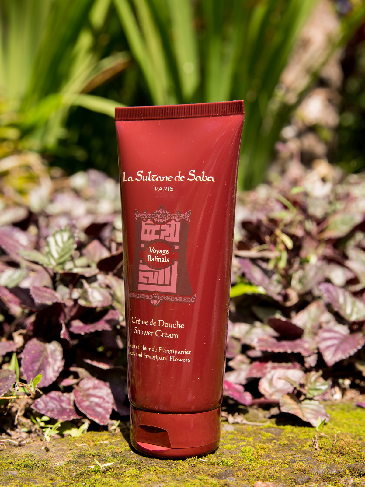 Shower Cream - Lotus & Frangipani Flower - Journey To Bali
