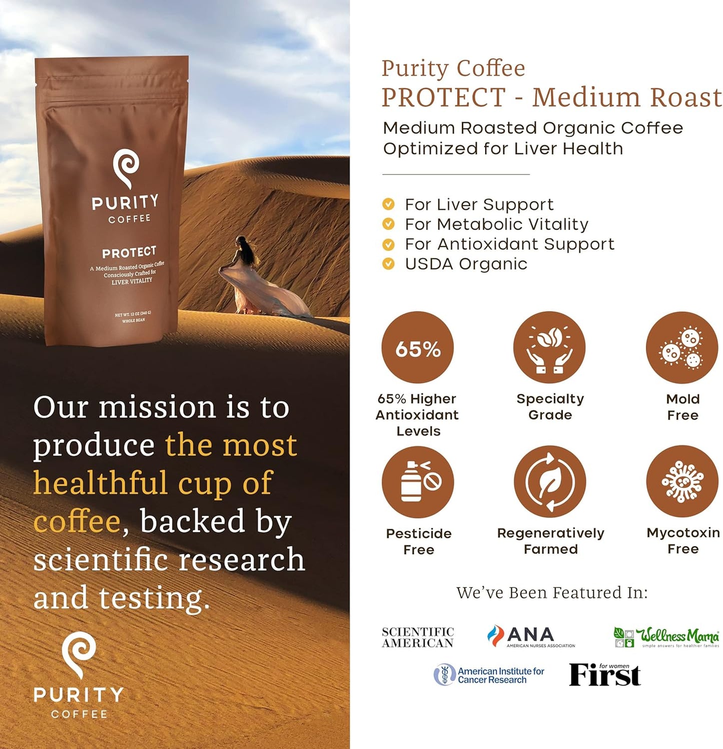 PURITY COFFEE PROTECT High Antioxidant Light-Medium Roast Whole Bean (340g Bag) | Specialty-Grade USDA Organic Arabica Blend | Third Party Tested for Mold, Mycotoxins & Pesticides
