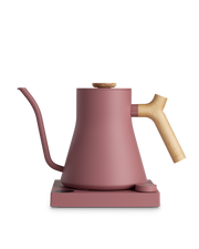 Fellow Stagg EKG Electric Kettle