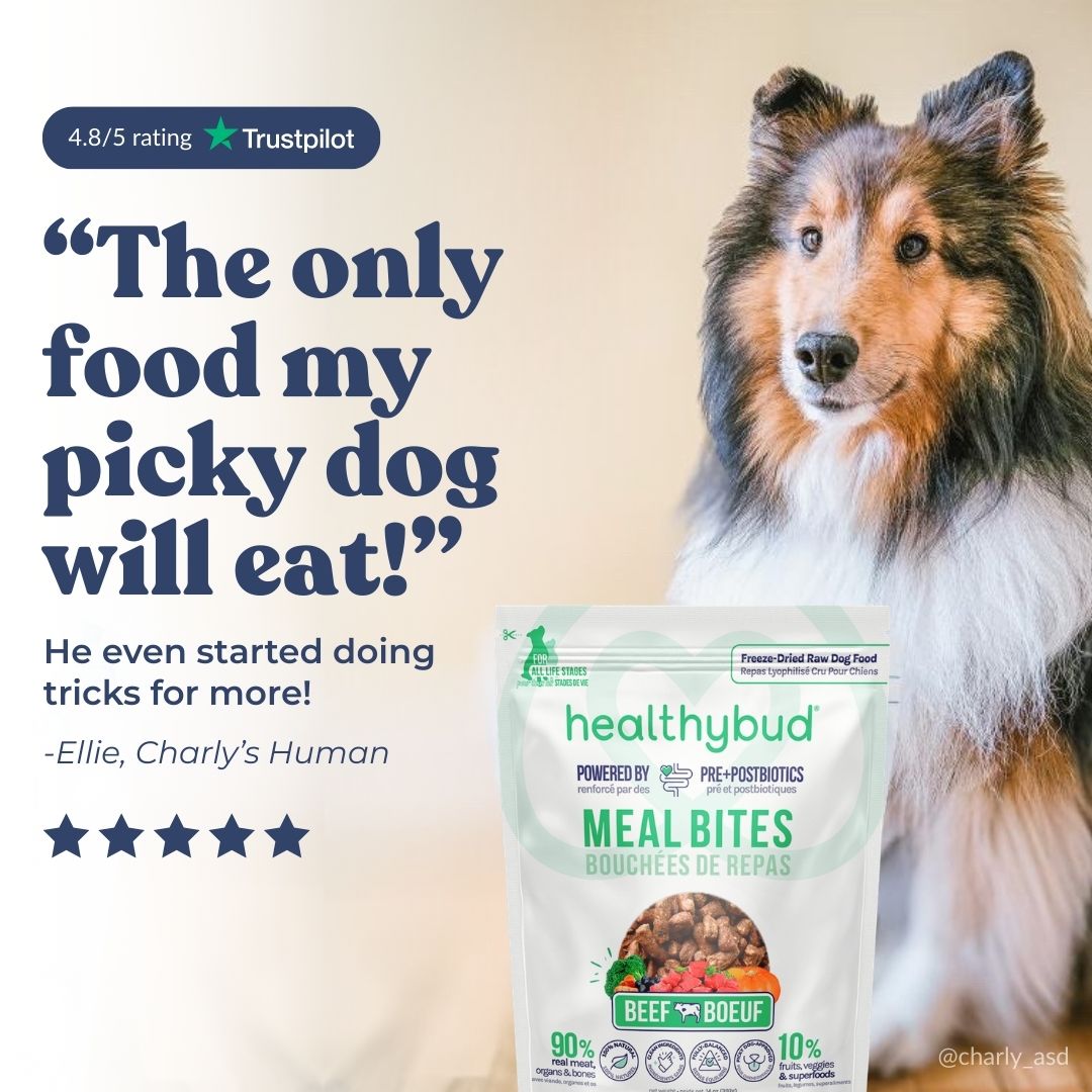 Beef Meal Bites