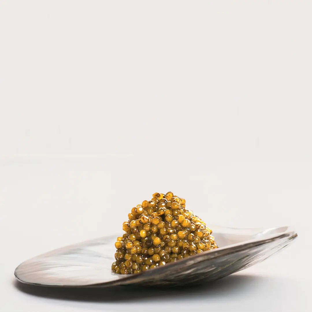 Kaluga Caviar