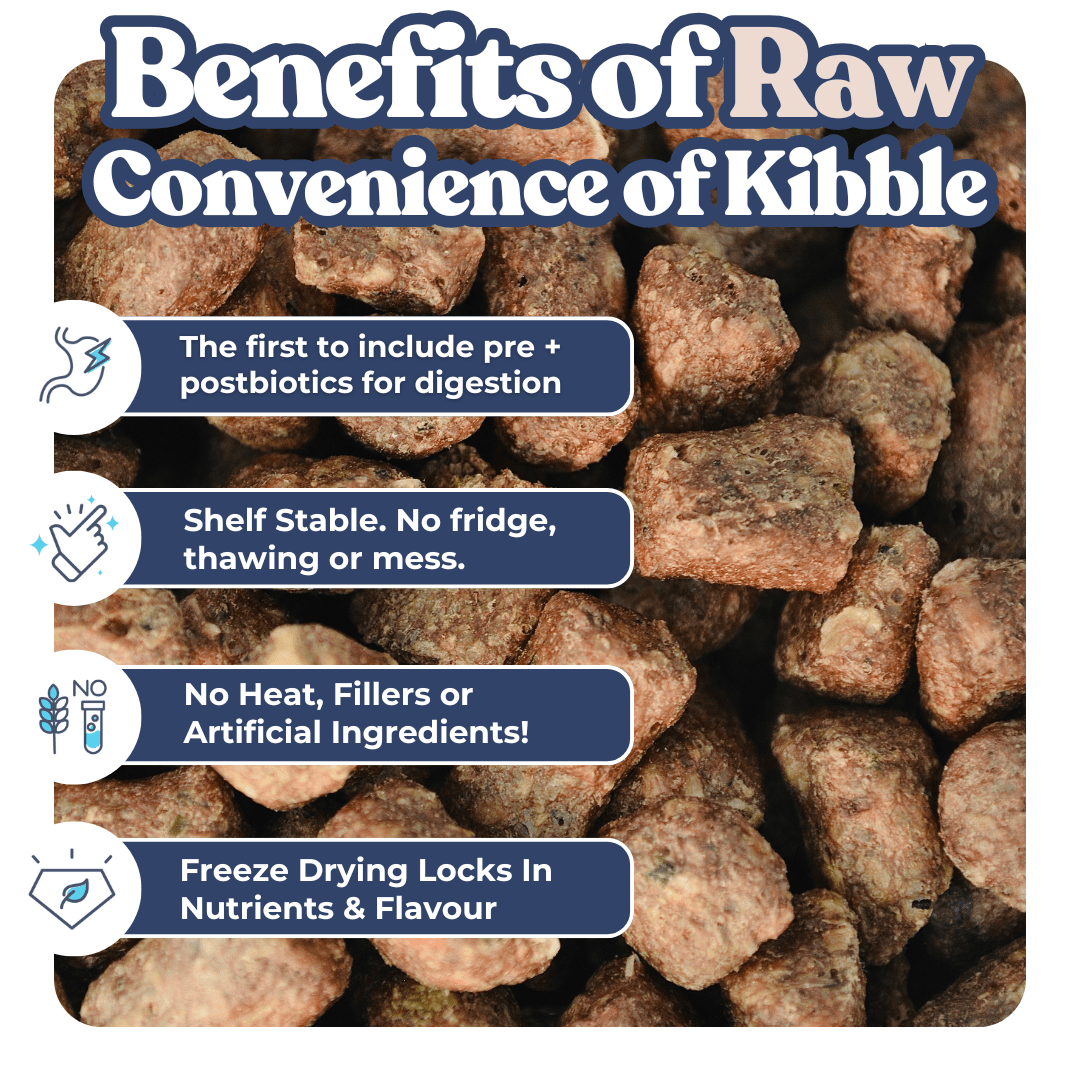 Lamb + Salmon Meal Bites